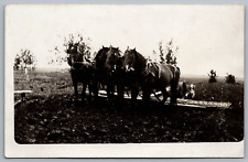 Postcard RPPC, Horse Drawn Harrow, Farm Field, Horses, Dog Unposted picture