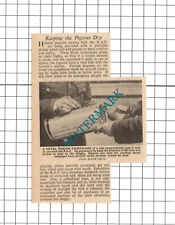 RAF Homing Pigeons WW2 - 1941 Small News Clipping picture