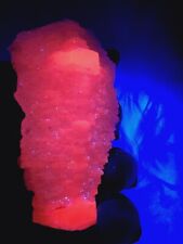 Pink Calcite Raw Specim UV Reactive Natural Crystal Stone Glow strong Pink Color picture