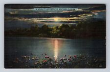 FL-Florida, Moonlit Lake Scene Southern Florida Vintage Souvenir Postcard picture