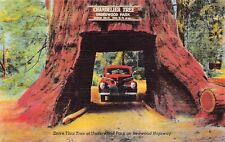 Leggett CA California Underwood Park Chandelier Tree Redwood Hwy Vtg Postcard Y1 picture