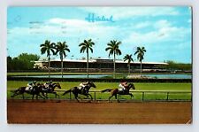 Postcard Florida Miami FL Hialeah Horse Racing 1977 Posted Chrome picture