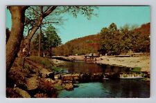 Cassville MO-Missouri Roaring River Trout Stream State Park Vintage Postcard picture