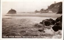 View From Reefs Neskowin Point, Neskowin Oregon Coast Postcard c. 1940s picture