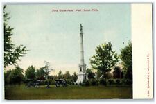 c1905s Pine Grove Park Cannons Scene Port Huron Michigan MI Unposted Postcard picture