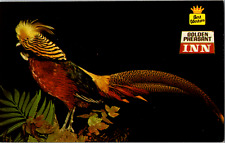 Vintage C. 1970's Golden Pheasant Inn Best Western Willows CA Postcard  picture