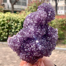 2.37LB Very Rare Natural Amethyst Flower Cluster Specimen Healing picture