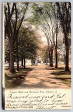 Oberlin Ohio~Tappan Walk & Memorial Arch~Handcolored~1906 Postcard picture