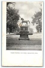 c1905's Taggart Fountain High Street Horse Statue Park Newburyport MA Postcard picture