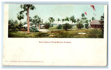c1900s Gold Links at Palm Beach Florida FL Unposted Antique PMC Postcard picture