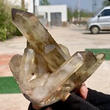 1.68LB Natural Citrine cluster mineral specimen quartz crystal healing picture