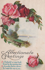 Affectionate Greetings - Sailing & Floral Divided Back Vintage Post Card picture