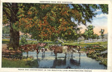 1939 Greetings From New Hampshire Antique Postcard Vintage Post Card picture
