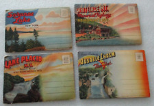 5 Vintage New York / Virginia Postcard Folders Saranac, Lake Placid, Whiteface++ picture