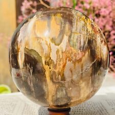 4.48lb Large Natural Petrified Wood Crystal Fossil Sphere Specimen Healing picture