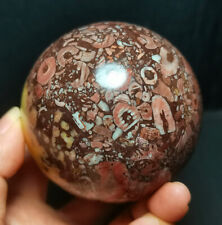 TOP560G Natural Colorful Agate And Marine Organism Symbiotic Crystal Ball WD1359 picture