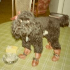 (AeD) FOUND PHOTO Photograph Snapshot Black Poodle Wearing Shoes Bootie Cute OOF picture