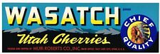 VINTAGE CHERRY CRATE LABEL RARE UTAH C1950S SALT LAKE WASATCH INDIAN MOUNTAIN picture