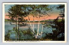 Pine Island NH-New Hampshire, Lake Winnepesaukee, Mt Chocoura, Vintage Postcard picture