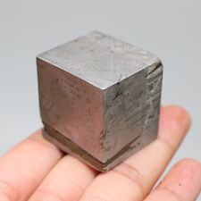 194g  Muonionalusta meteorite part slice C6841 picture