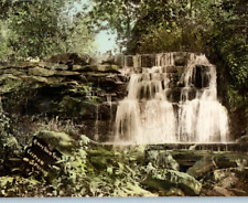 Clifton Springs Water Falls Forest Rocks Nature RPPC Postcard A9 picture