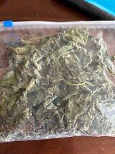 Rompe Saraguey | Fresh Herb Cutting | Santeria | Ewe | Bunch | Cleansing | picture