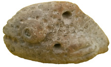 antique ceramic whistle, Ornament Trypillia culture 5400 and 2750 BC picture