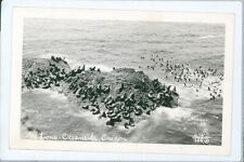 RPPC Oceanside OR Sea Lions Rock Aerial View Christian photo postcard DQ2 picture