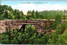 VTG. Natural Bridge in Old Kentucky - K16  E.C. Kropp Co. #21396 picture