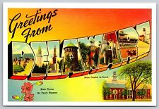 REPRINT Large Letter Greetings from Delaware DE Modern Postcard 4x6 Unused picture