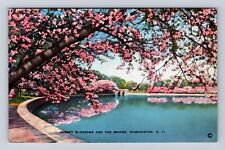 Washington D.C. Cherry Blossoms And The Bridge, Antique Vintage Postcard picture