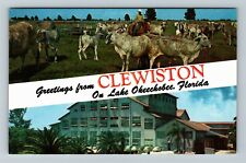 Clewiston FL-Florida, Banner Greeting, Cattle, U.S.S.C. Vintage Postcard picture
