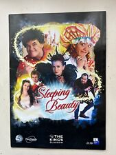 Panto  / Pantomime programme SLEEPING BEAUTY picture