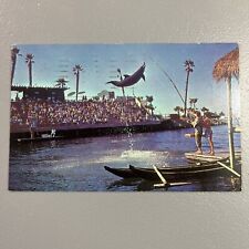 San Diego CA-California, The Lagoon Show, Sea World, c1965 Vintage Postcard picture