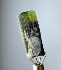 13.70 Cts beautiful Terminated green Cap Tourmaline crystal from Afghanistan picture