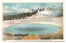 Vintage Castle Well & Castle Geyser Yellowstone National Park Postcard Unp. WB picture