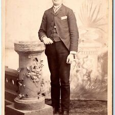 c1890s Postville, Iowa Handsome Young Man Cabinet Card Photo Black Suit B2 picture
