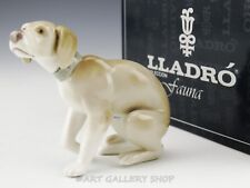 Lladro Figurine Fauna Collection WOE IS ME GUILTY DOG SITTING #5351 Mint in Box picture
