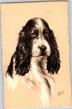 Early Vintage Beautiful Cocker Spaniel Art Print Unposted Postcard picture