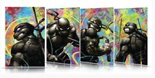 🔥 TMNT #1 PREORDER Clayton Crain 4 Cover Variant Set IDW Publishing 2024 🔥 picture