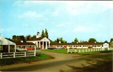 Jamestown, NY New York  COLONY MOTEL~Route 17-J  ROADSIDE  50's Cars  Postcard picture