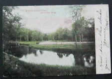 Mineral Springs Park Owatonna MN 1907 E C Kropp Hand Colored UDB picture