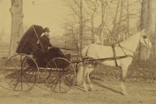 Antique Photograph Horse Drawn Runabout Convertible w/ Driver Large 12x8.75 Card picture