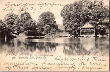 MEDIA PENNSYLVANIA PA Broomalls Lake c1905 Swarthmore DELAWARE COUNTY Postcard picture