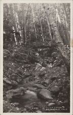 c1950s RPPC Brookdale California Clear Creek bridge trees photo card A695 picture