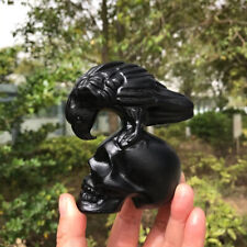 TOP Natural Obsidian Quartz Hand Carved raven Skull Crystal Reiki healing picture