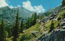 Postcard CO Rocky Mt Nat'l Park Longs Peak from Dream Lake Trail 1965 PC G1621 picture