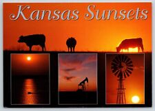 Multiview Kansas Farm Prairie Sunsets Postcard CO-0073 picture