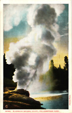 Haynes Riverside Geyser YELLOWSTONE PARK Wyoming Postcard picture