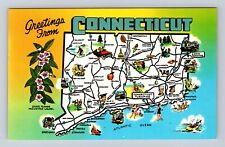 Greetings From Connecticut, State Map, State Flower, Vintage Souvenir Postcard picture